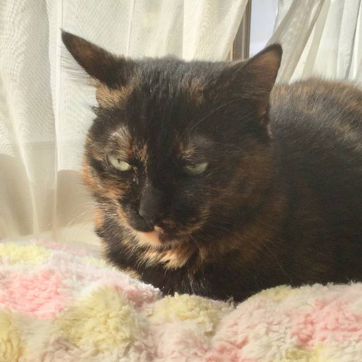 57d08278 7c17 462c 864e ba7be9eb15d2 1610253140122