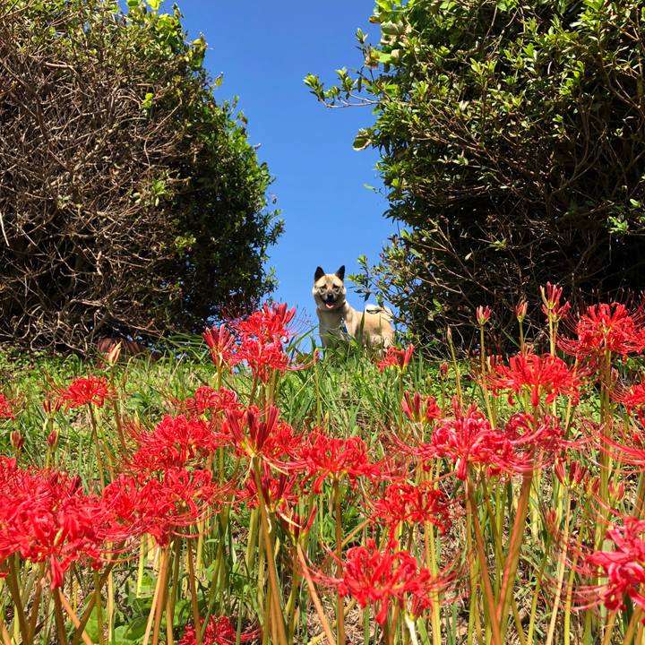 57d09a71 be24 451b 8e8f b2e0d2ed41a0 1601204724279