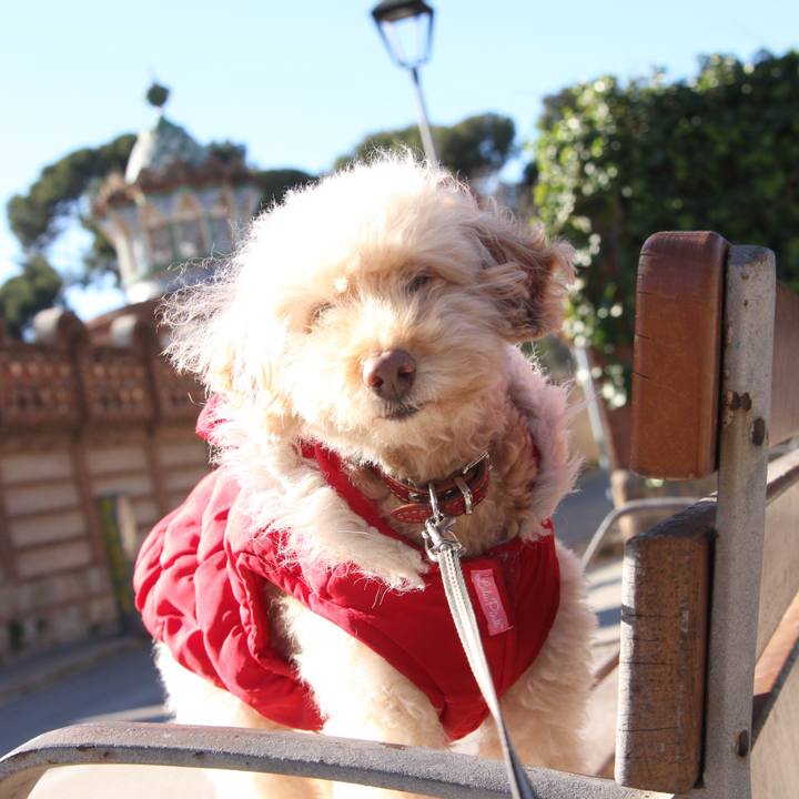 57d0a58b 9256 4ab2 96d2 21e759a75756 1516378368338