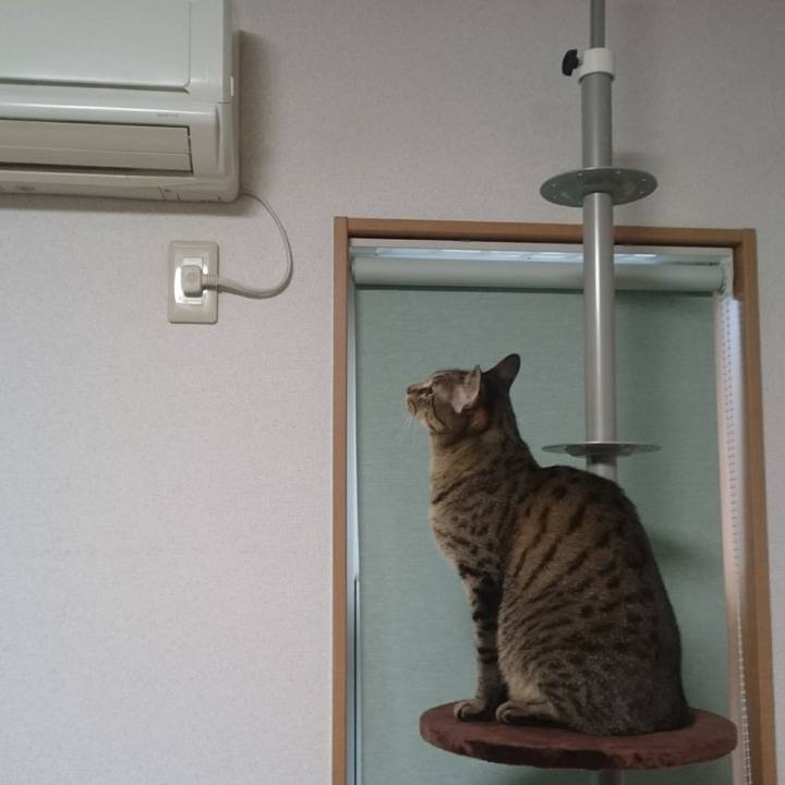 57d0e8c1 6bc9 40f6 abc8 1a428513b1e8 1510698443363