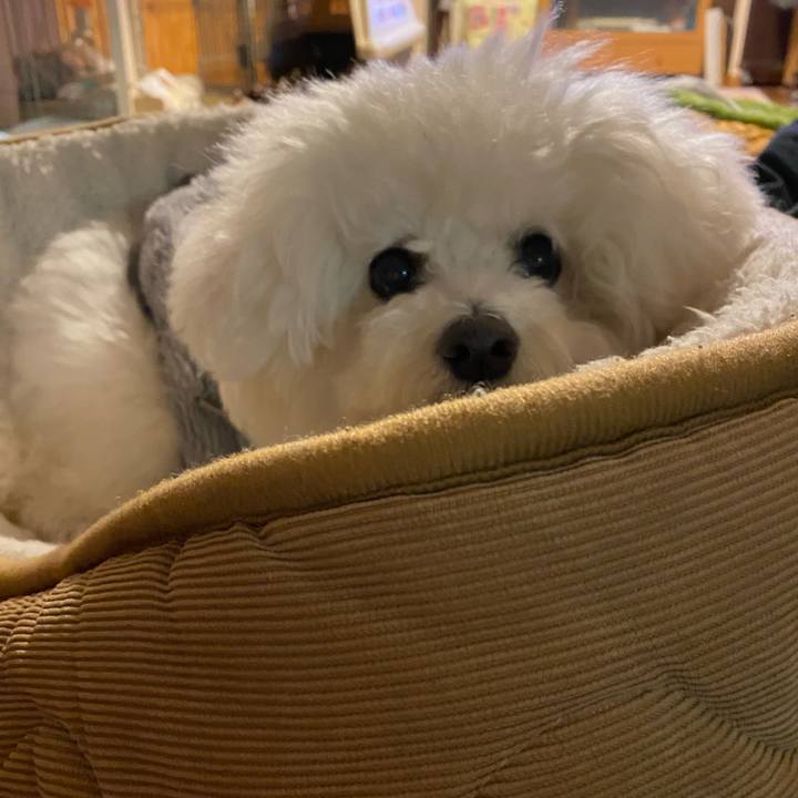 57d114cb 3371 4cbb a8d3 954d7d1c5e39 1672045542645