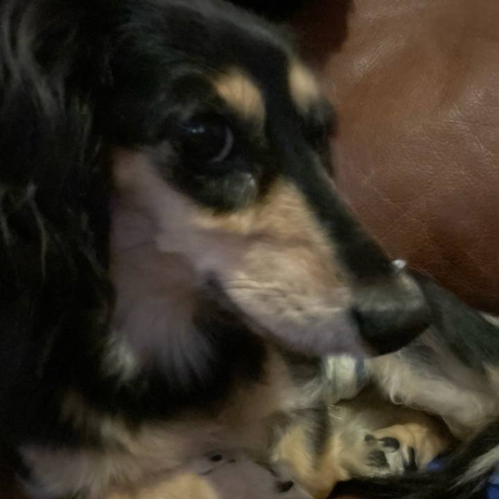 57d132f6 d394 4011 915c 855cd7354ae7 1730409362674