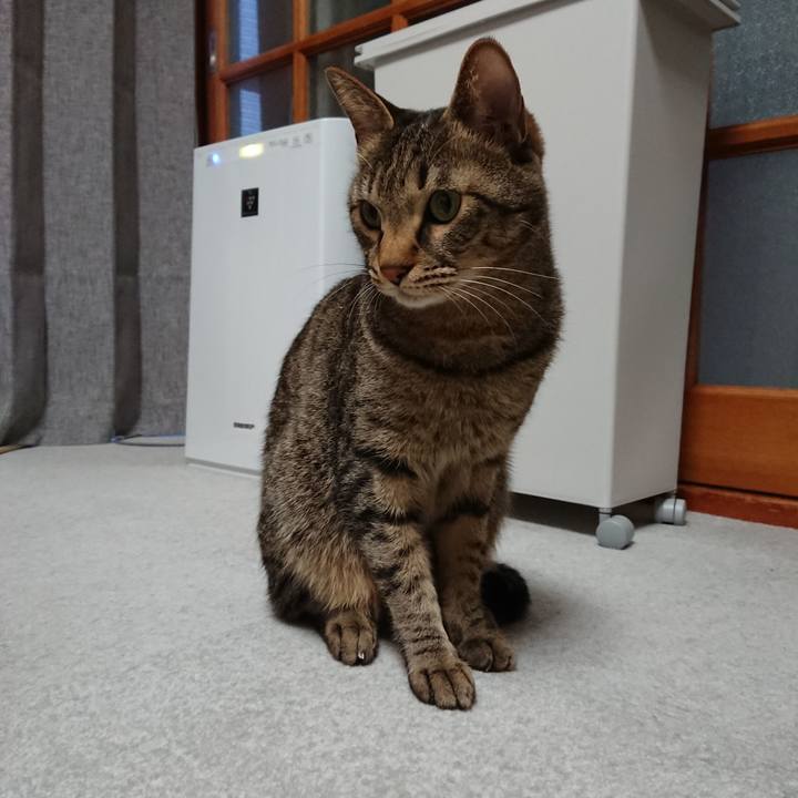 57d1eae4 a54c 4b22 afdb a78e2147e04b 1519421553280