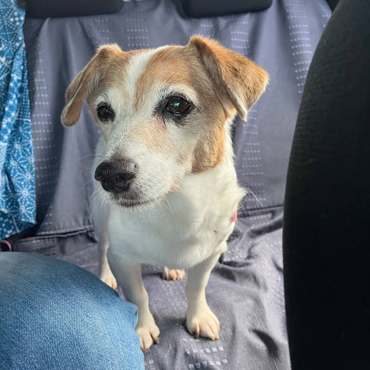 57d22bfe 68ba 400b 9052 2be4efa0927b 1722042290300