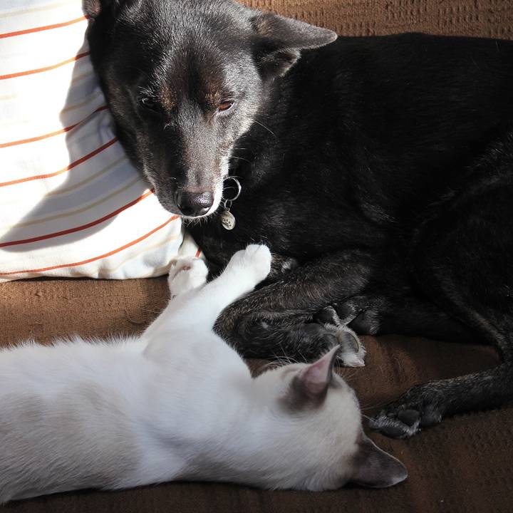 57d234cc 8bb3 40b8 9d31 a8f5cea098b6 1611013196304