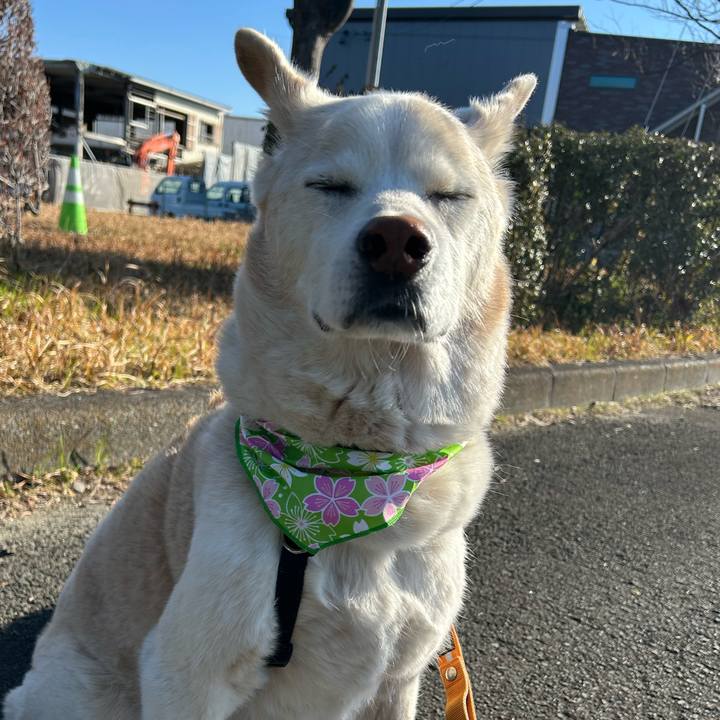 57d240d6 9bb0 488c 8957 979962046eb9 1742431930105