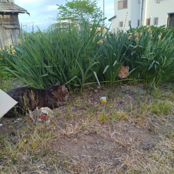 57d2505d 263b 4ac8 a881 0863c434ebeb 1714987760559