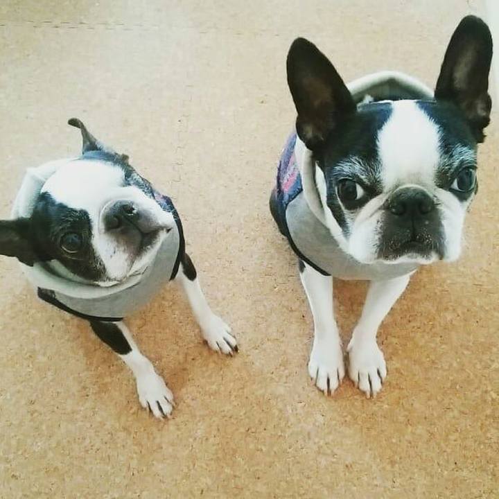 57d254d0 aa1d 47d4 894d dc404b66cb03 1519216355940