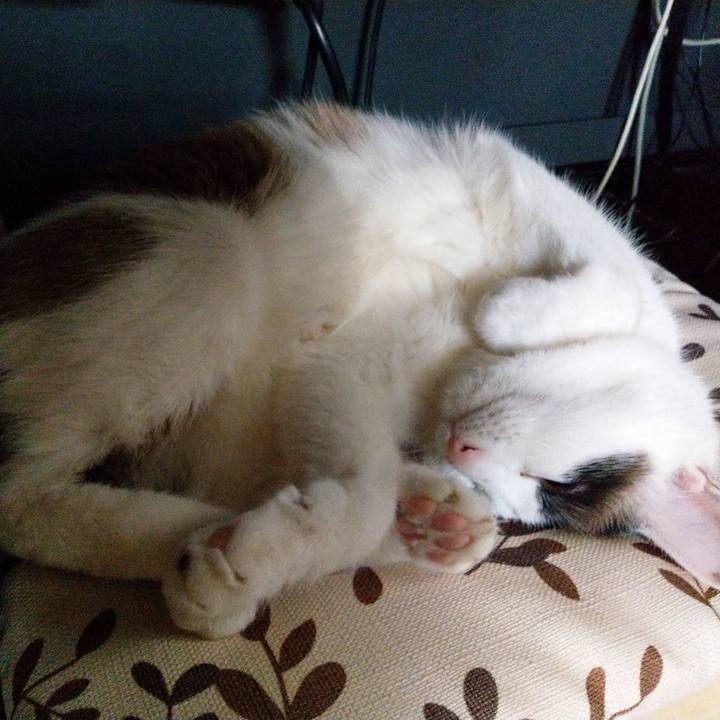 57d26d11 2298 4ade 8025 006ce6081c03 1552194393162