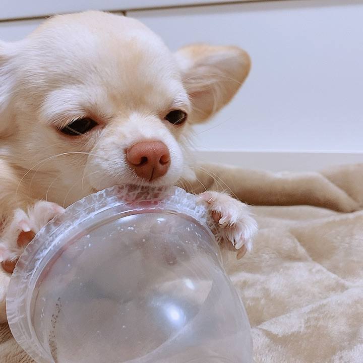 57d28cc4 d163 42fe b5e4 f35918480ff5 1607774349839