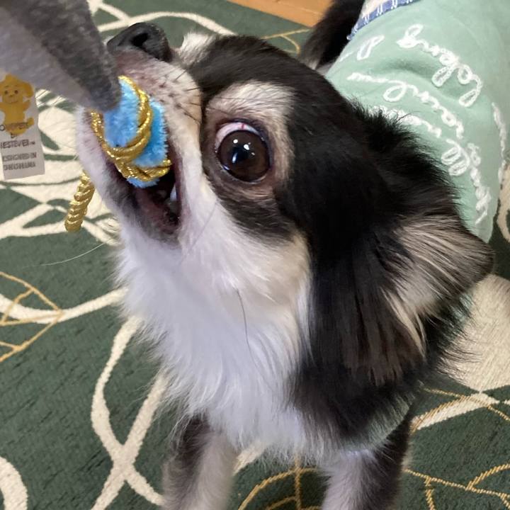 57d29888 5e8f 47a4 8ce4 baf1294f7485 1647843360350