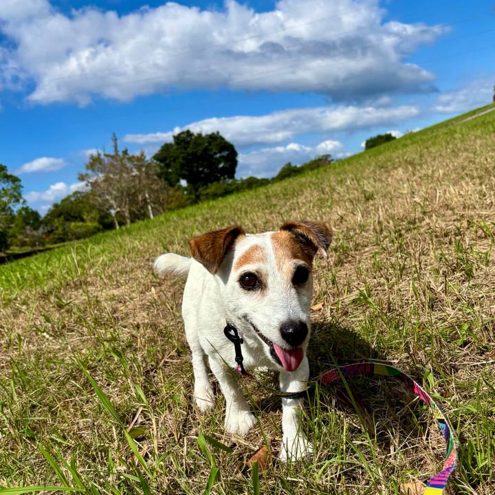 57d2b203 3b8d 47ea b7c8 ad6418000605 1760705922967