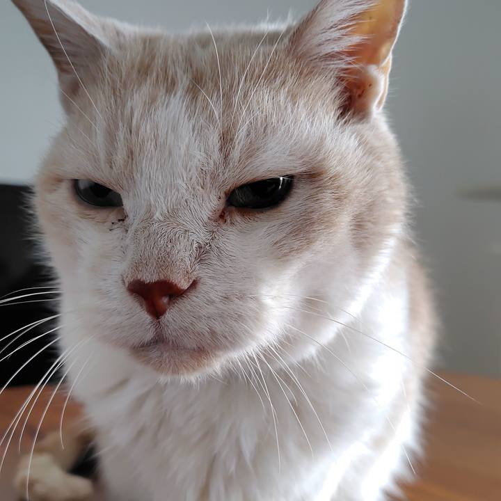 57d2ec1e 9945 4526 b1a5 7e27d3501fe5 1764038338534