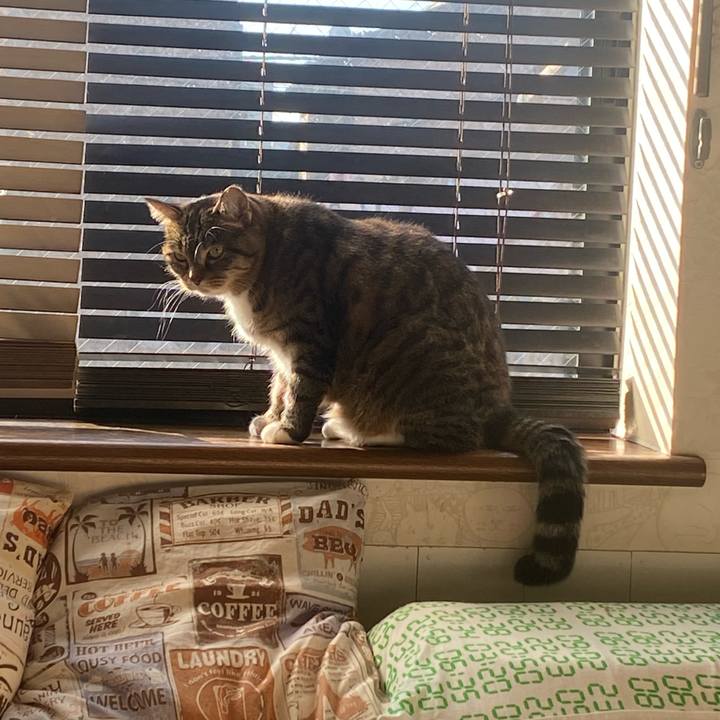 57d2f85d abf1 46d9 9f36 d1efb0fc5b27 1668814978087