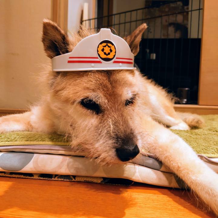 57d2fc7b fe61 4fc7 9484 0f09bfe81ade 1630501074496