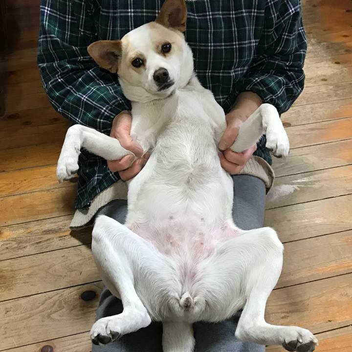 57d306d2 2377 4072 9a76 1eb14f041c31 1519514794312