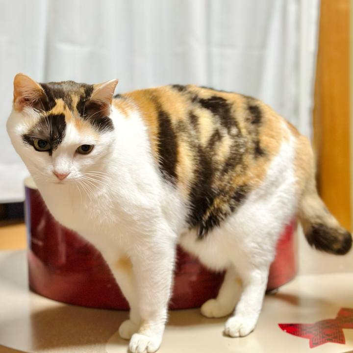 57d31cce b6d8 4b17 b262 dcab9ad3096a 1678586346305