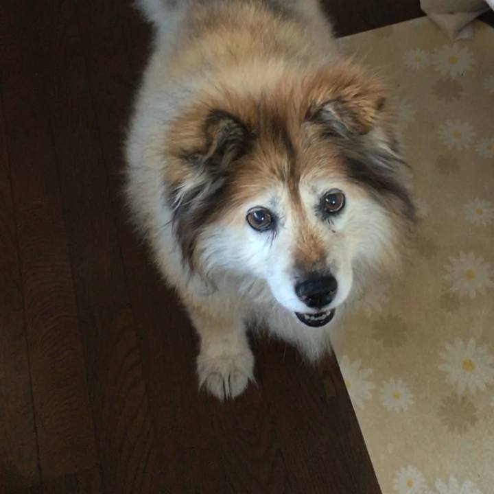 57d329b4 93dd 4365 9030 b34c779f472c 1654752887272