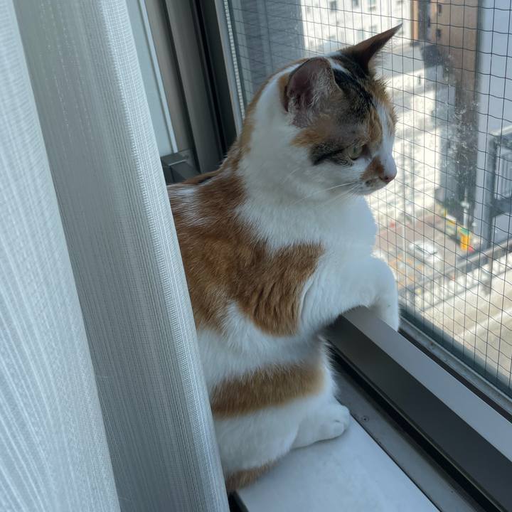 57d359bf 82bf 49eb 8174 4f30f4a85260 1656286546756