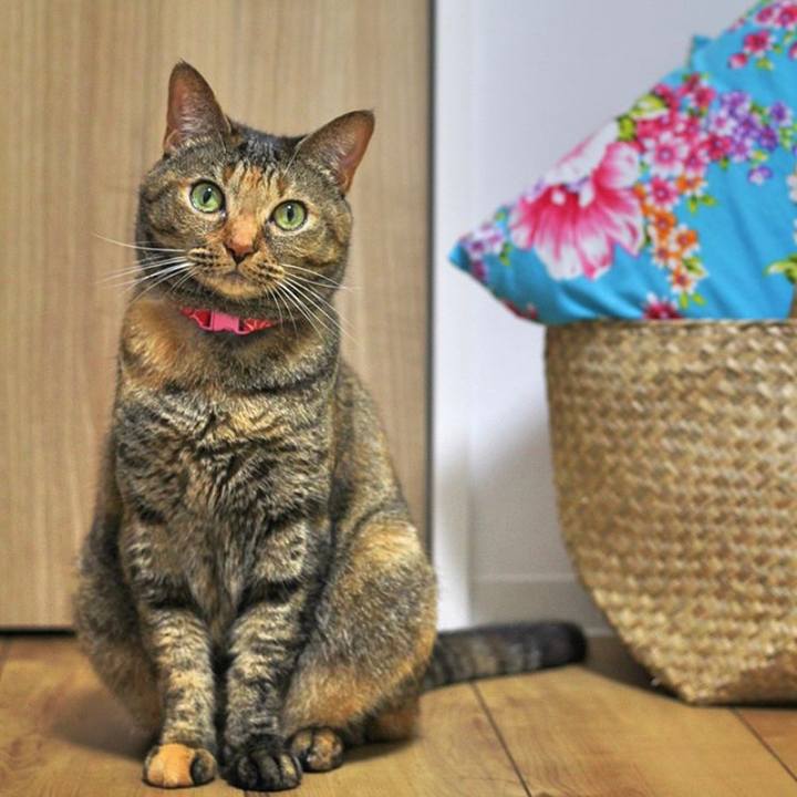 57d35b29 c7cd 4d5e 9251 1f58c4bf4fb4 1591270096283