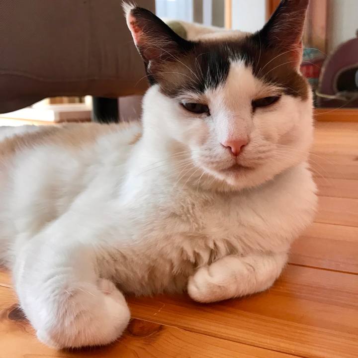 57d36cb9 21ed 44b4 a4f4 5eb219e07092 1553305780229