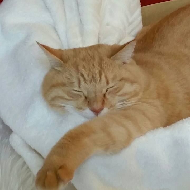 57d3b386 bd8e 4862 b820 7918291525ec 1512625232917