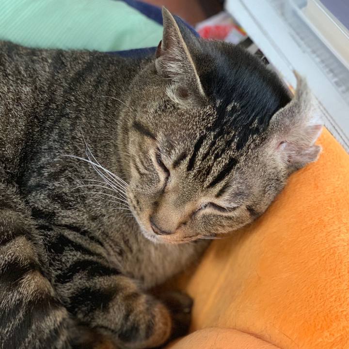 57d3ff27 0122 4906 98ba ae38fca5d69e 1559783146748