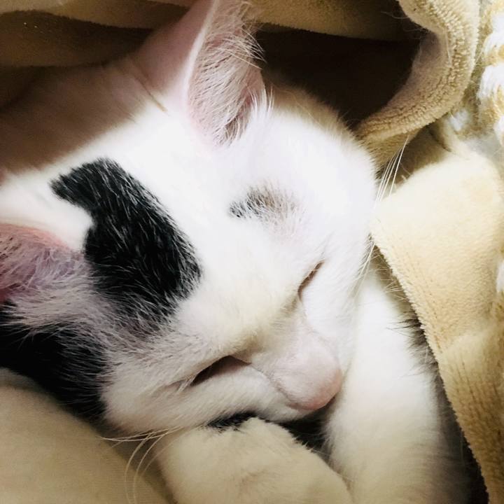 57d42574 c76a 48b1 85a2 770cb9387947 1556315377073