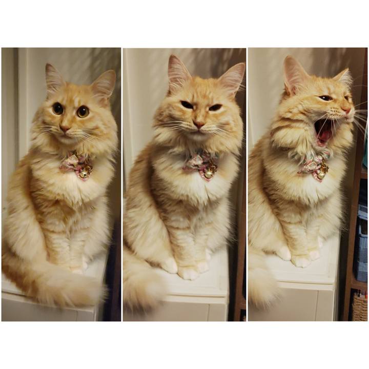 57d446c3 23f7 4e8a af5f 9e862f9d99cc 1663934071730