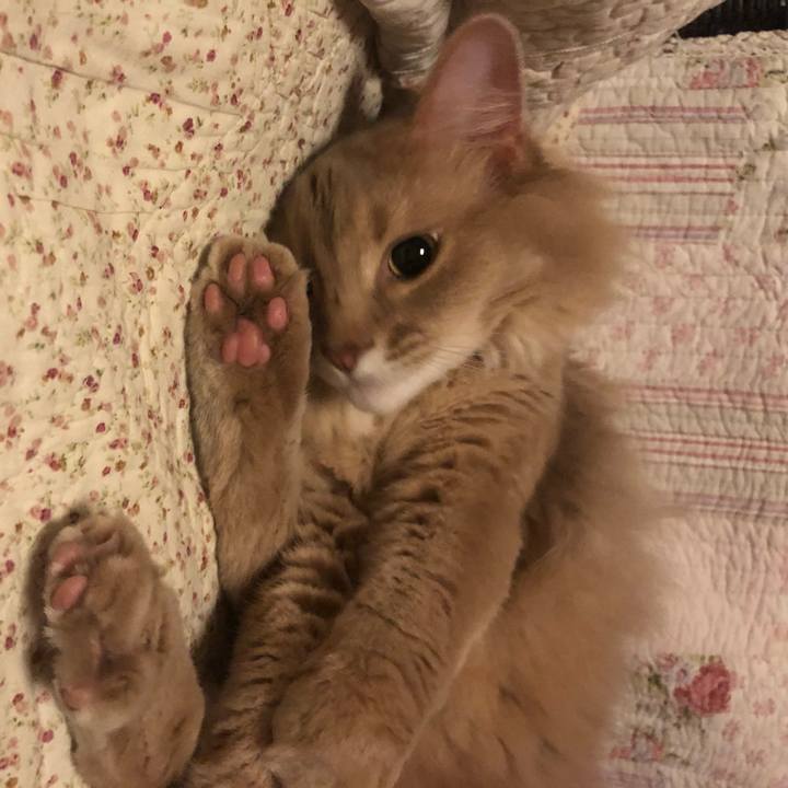 57d44b02 d637 4c23 a7d0 e3af6a965aa6 1653954935731