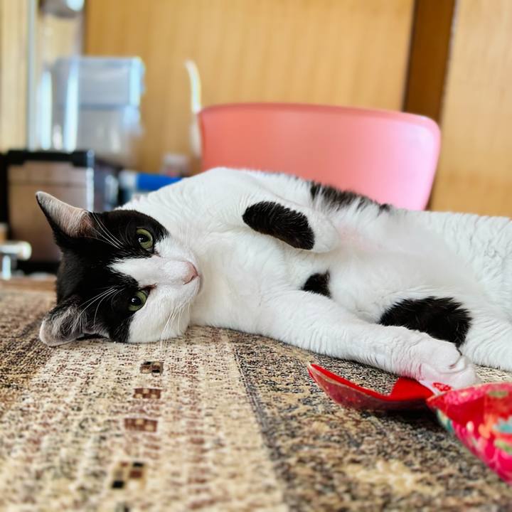 57d44d99 0a27 43df a282 9b66ac815fca 1688005455601