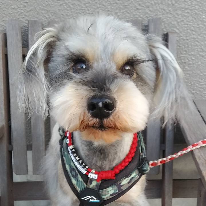 57d47521 f0b3 44cb ae09 a245dc8a2c34 1677116719389