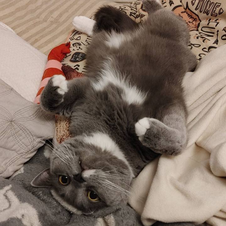 57d47644 a533 4548 9802 e4cf37f3292c 1617368114684