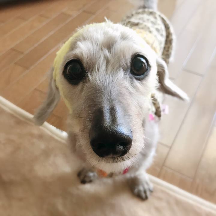 57d486b1 307e 414b a8c2 55dc72508ddf 1530314983057