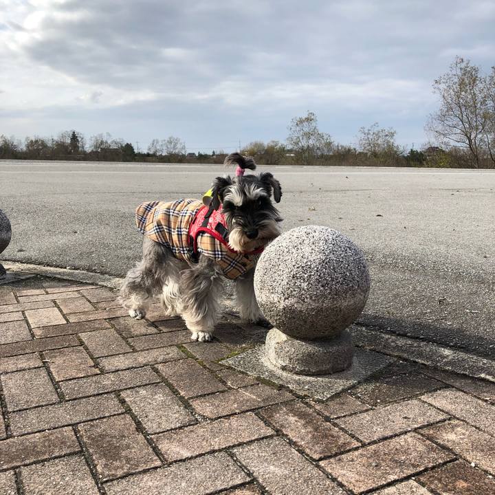 57d48c2b d759 4055 b754 860580c0a49e 1576405665084