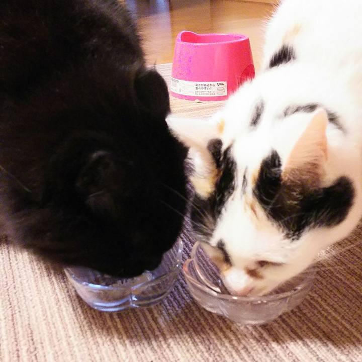 57d53355 c582 4eeb a44f dcfa7944f277 1508495637637