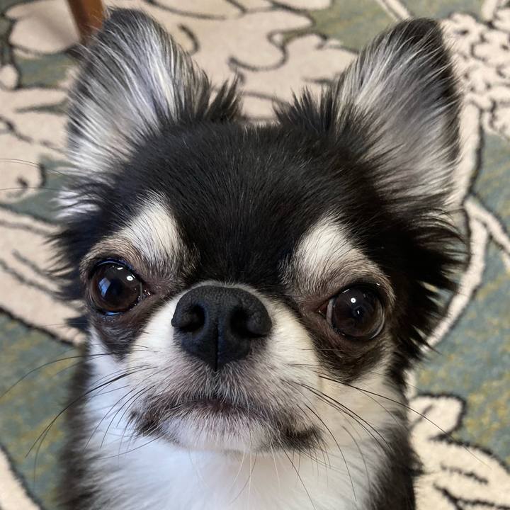 57d53dfc 9cca 4c1f 9b48 8fa5c5993a55 1626909010110