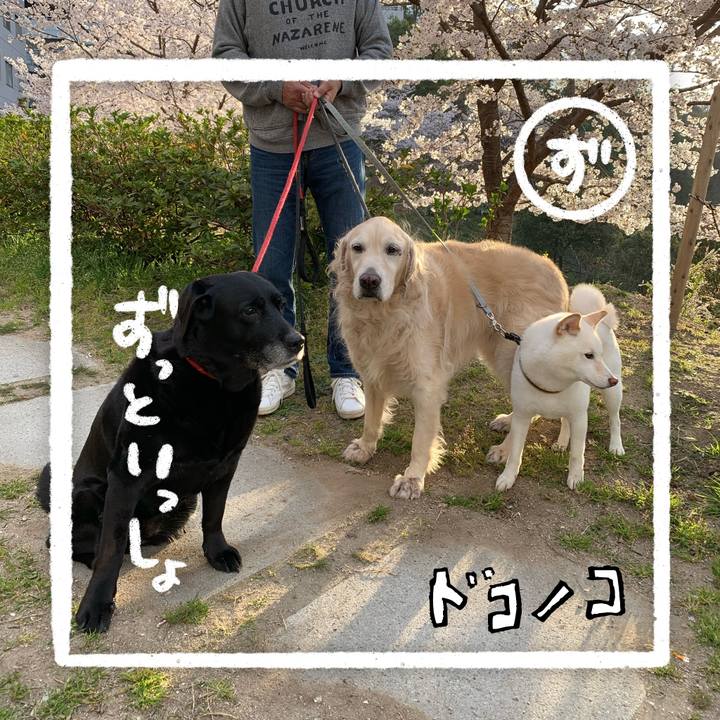 57d57a5e 25e2 4923 abb4 98ad3d88f769 1685969465153