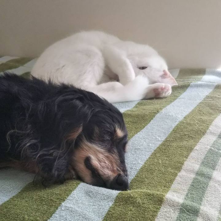 57d58def 6144 488e b9a2 01afc8a6beb2 1626591891077