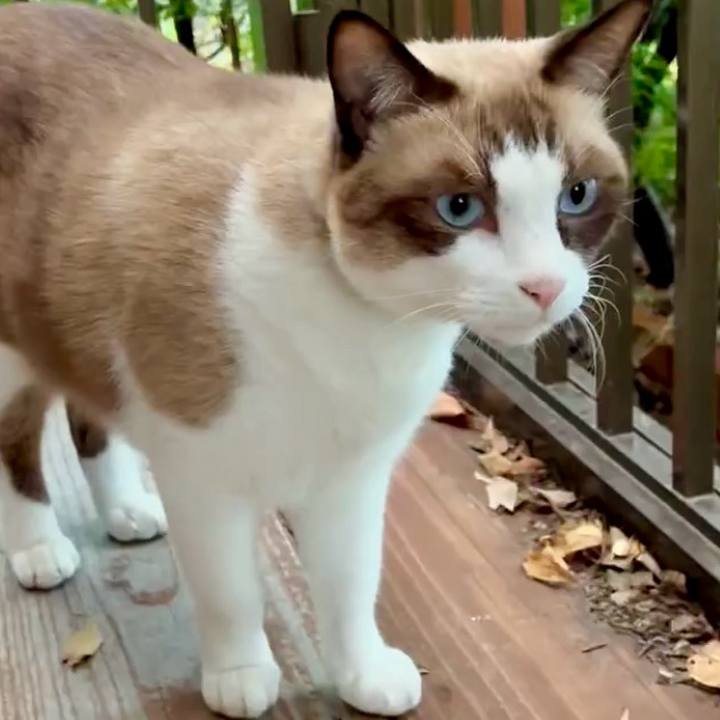 57d59cd3 a44c 44c5 8ebd d2e31e6f244e 1760760181525