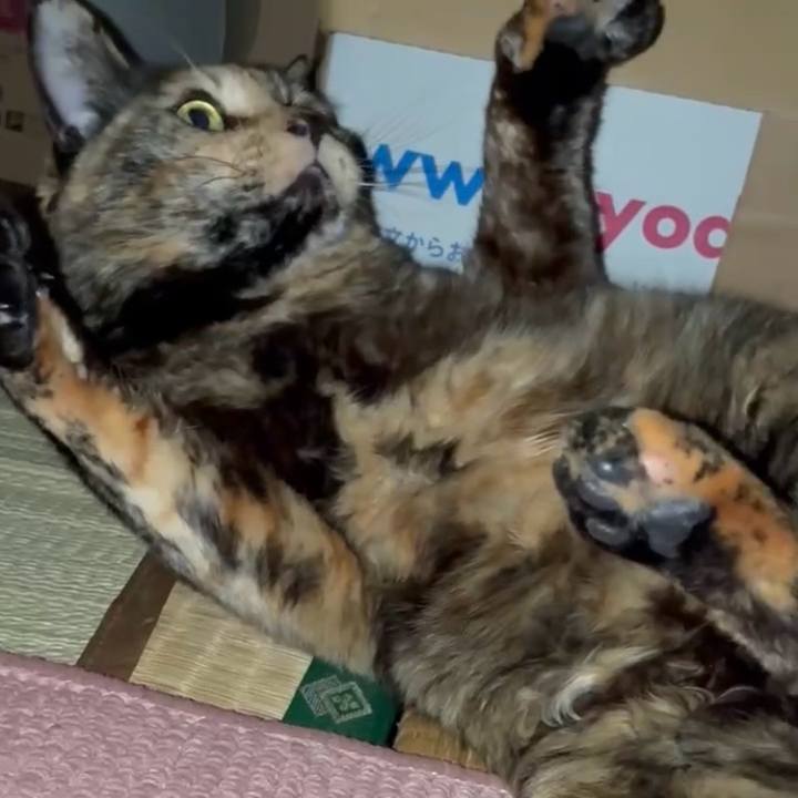 57d60e4c 4d70 4dd9 859b 84b919c61c7a 1775596894013