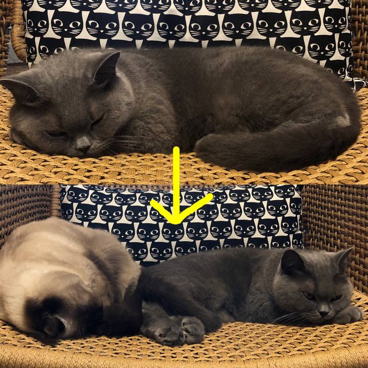 57d62cfd 3fd4 47a6 a652 24b513145d63 1598353521423