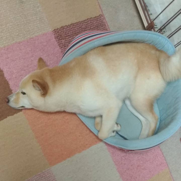 57d63eaa a995 4cb7 9d1d 8526f4d76002 1559224434662