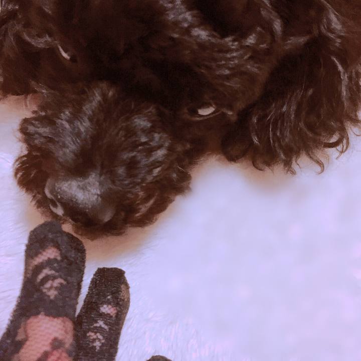 57d6428b f835 4e54 a7c7 276bf128b095 1518670975809