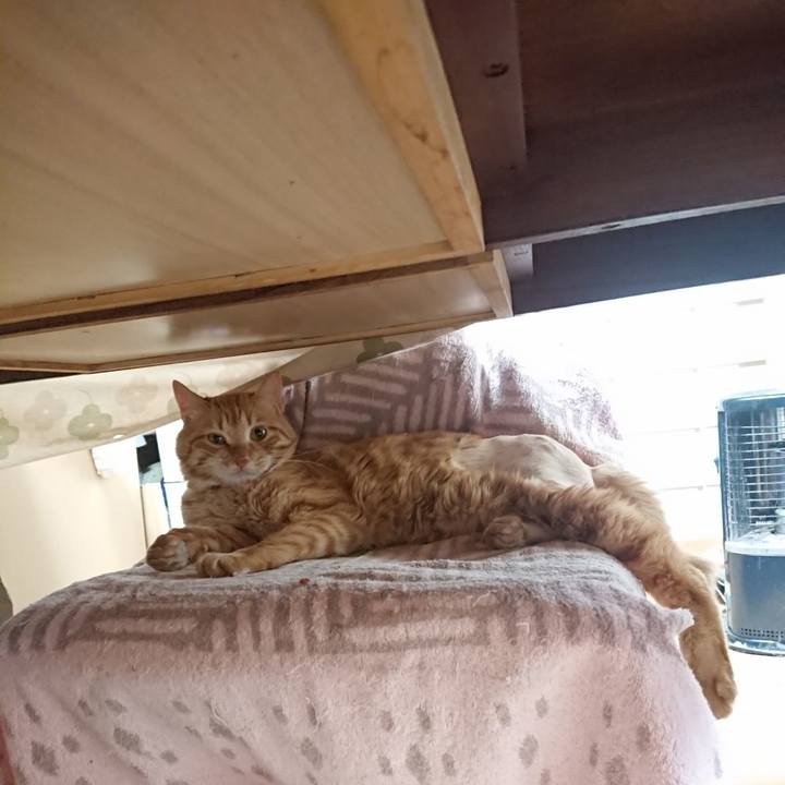 57d6a523 5c8d 4aae ac5e a17869872562 1654392734953