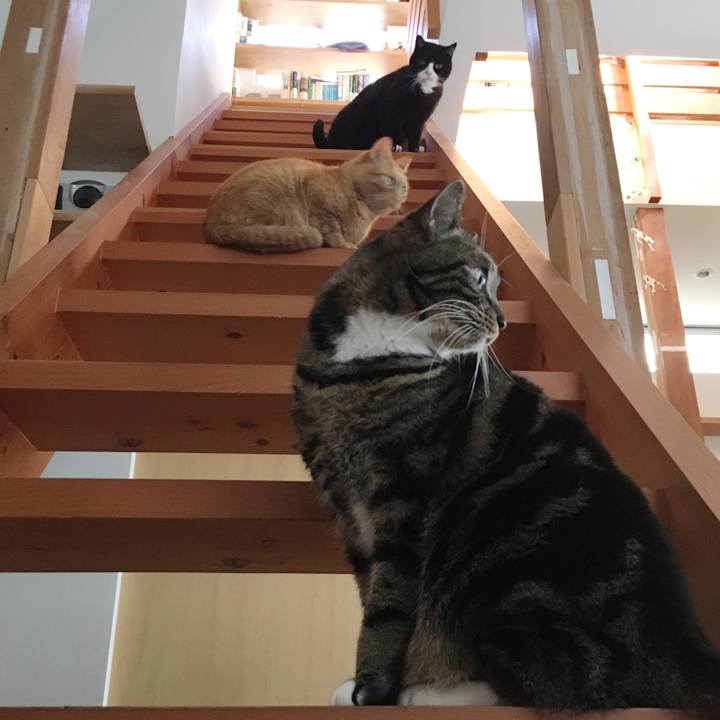 57d6b17f b934 478e 89ba 0048780383e3 1550445799989