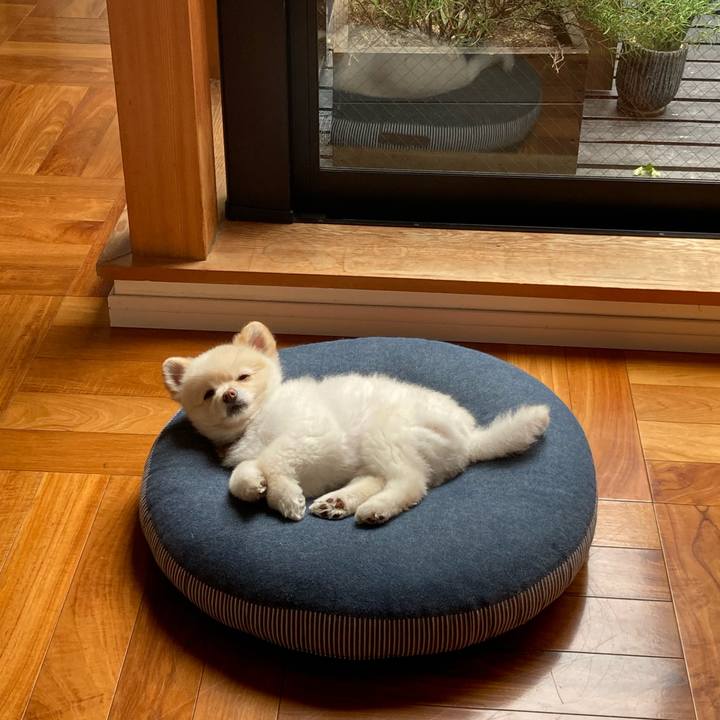 57d70aed b6f4 4ccc bd07 623ccb514e61 1620790703672