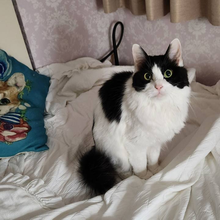 57d72e90 270d 4f64 8127 c77e92dcc78a 1711025132499