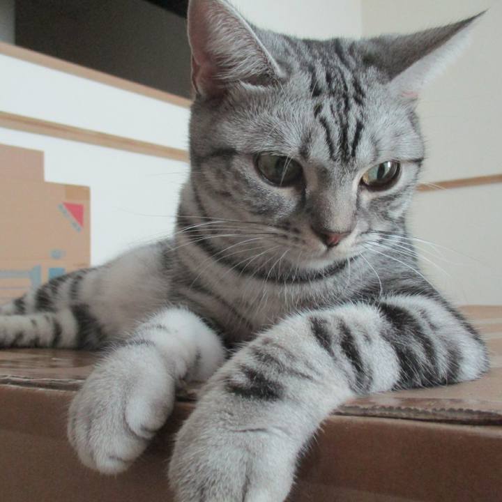 57d73ec3 9964 4324 bf43 f5a3d2cca77a 1571924497258