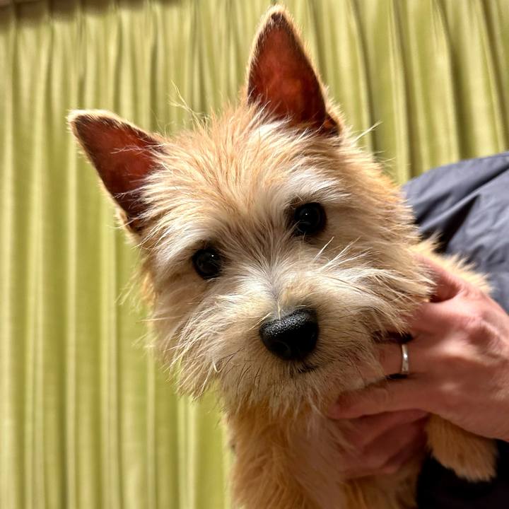 57d7537a c7dd 4d94 ad71 7828219b7d29 1707660154315